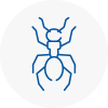 Ant Removals In Salisbury
