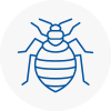 Bed Bug Extermination In Salisbury