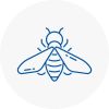 Bee Nest Removal Salisbury