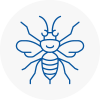 Salisbury Hornet Nest Removals