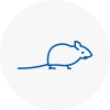 Mice Exterminators In Salisbury