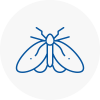 Moth Control Specialists In Salisbury