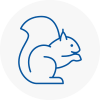 Salisbury Rodent Removals